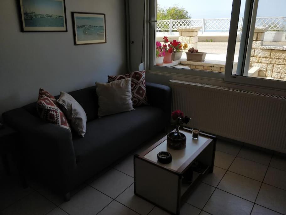 Ionian Blue Studio Превеза Екстер'єр фото